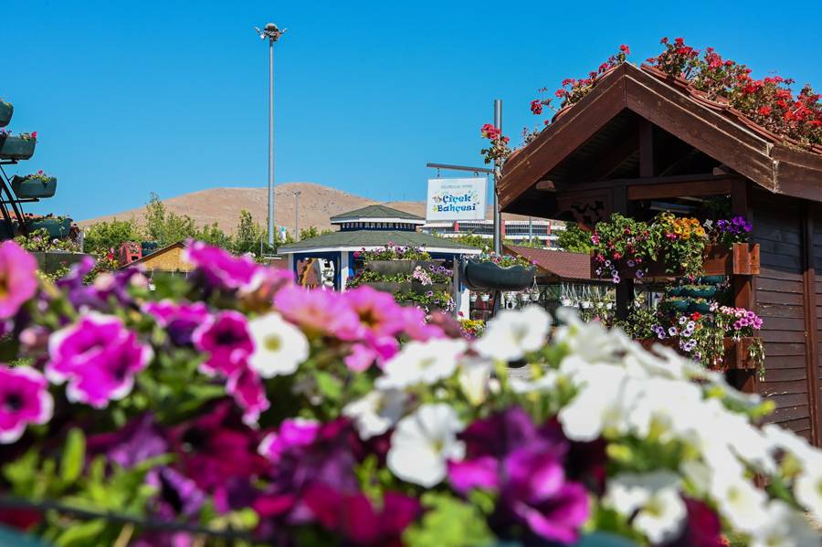 Türkiye'de daha büyüğü yok! Selçuklu Çiçek Bahçesi yeniden kapılarını açtı 17